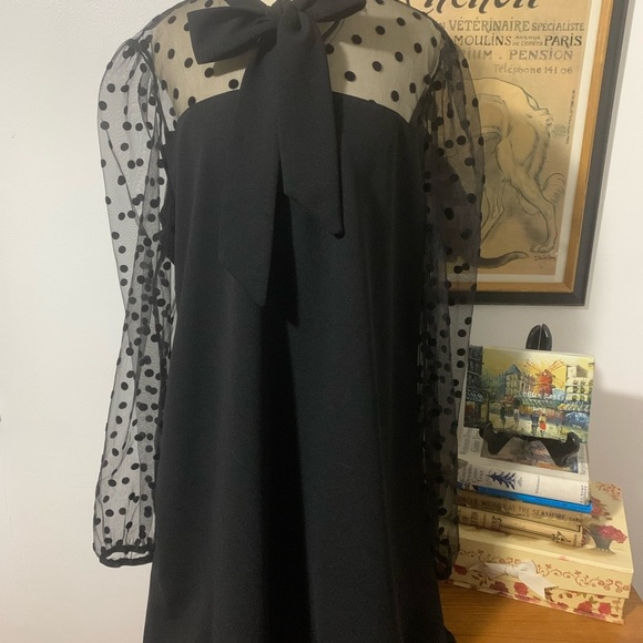 Shein Curve Black Dress Sheer Polka Dot Sleeves - Picture 11 of 14